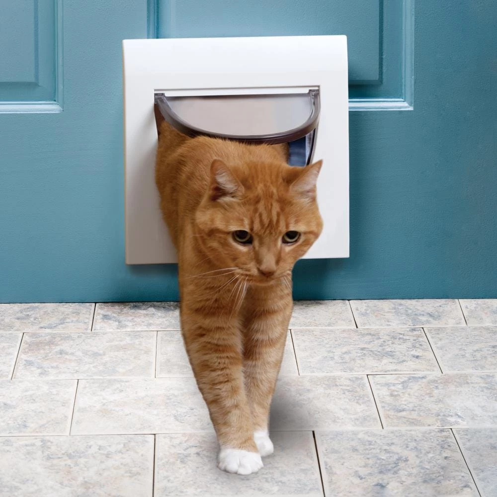 Outlet 🛒 PetSafe Pet Doors Cat Flap Small (25-lb or Less) White Plastic Pet Door ✔️