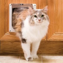 Best Pirce 💯 PetSafe Pet Doors Cat flap Small (25-lb or Less) White Plastic Pet Door 🔔