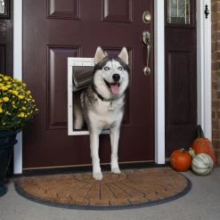Deals 🥰 PetSafe Pet Doors Extreme Weather Pet Door Large (71- 90-lb) White Plastic Pet Door 😀