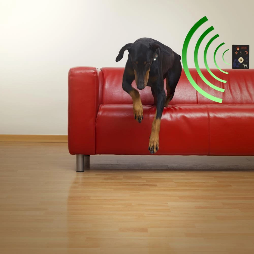 Buy 🌟 High Tech Pet Pet Door Accessories Pet Door Access Key 🎁 - Image 5