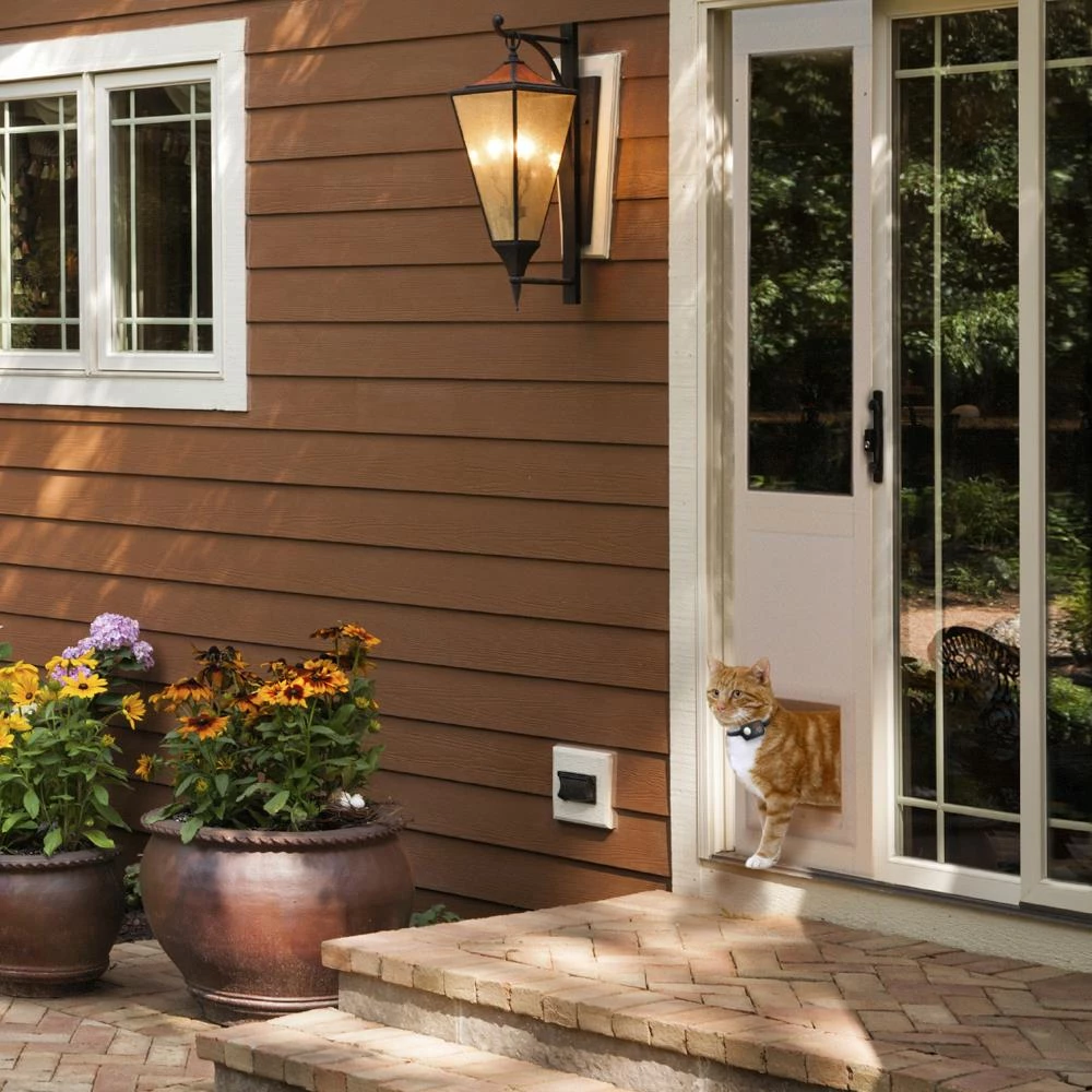 Buy 🌟 High Tech Pet Pet Door Accessories Pet Door Access Key 🎁 - Image 4