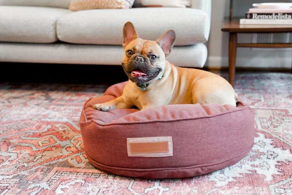 Flash Sale ๐ The Houndry Pet Beds Russett Rover Sunbrella Acrylic Fabric Round 48-in x 48-in ๐ Dog Bed (For Large) ๐คฉ - Image 2