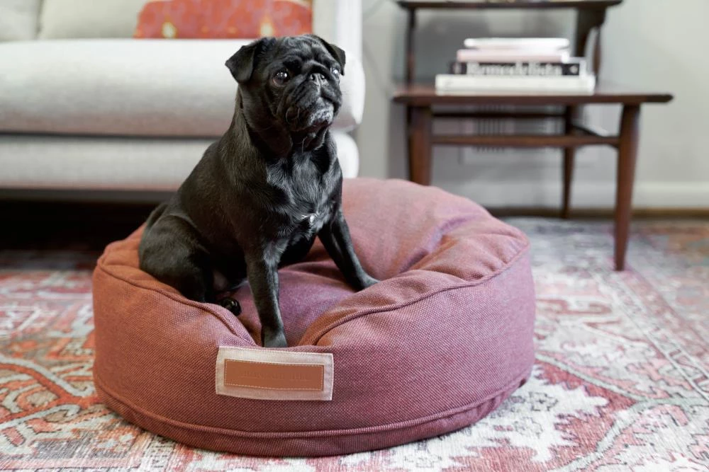 Flash Sale ๐ The Houndry Pet Beds Russett Rover Sunbrella Acrylic Fabric Round 48-in x 48-in ๐ Dog Bed (For Large) ๐คฉ - Image 5