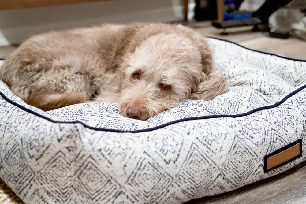 Best Pirce ๐ The Houndry Pet Beds Sapphire Spaniel Sunbrella Acrylic Fabric Rectangular 38-in x 25-in ๐ฆฎ Dog Bed (For Large) ๐ฅ - Image 6