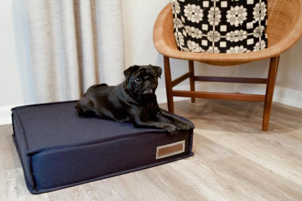 Promo ๐ฏ The Houndry Pet Beds Blue Barker Sunbrella Acrylic Fabric Rectangular 42-in x 31-in ๐ Dog Bed (For Large) ๐ - Image 5