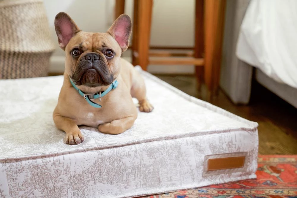 Buy 😉 The Houndry Pet Beds Country Chase Sunbrella Acrylic Fabric Rectangular 48-in x 36-in 🐕 Dog Bed (For Large) 😉 - Image 3