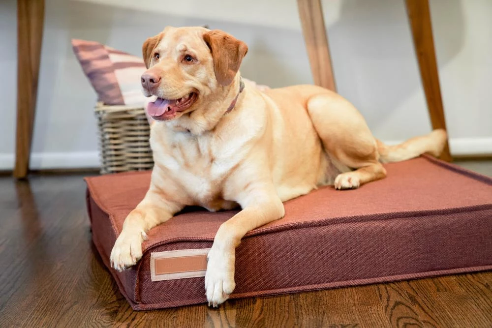 Cheap ๐ฅ The Houndry Pet Beds Russett Rover Sunbrella Acrylic Fabric Rectangular 28-in x 28-in ๐ถ Dog Bed (For Medium) โญ - Image 6