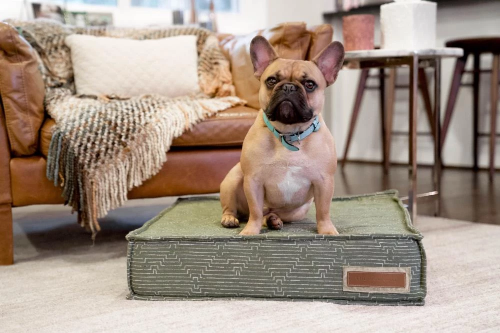 Buy ๐ฅฐ The Houndry Pet Beds Mossy Mutt Sunbrella Acrylic Fabric Rectangular 42-in x 30-in ๐ Dog Bed (For Large) ๐ - Image 3