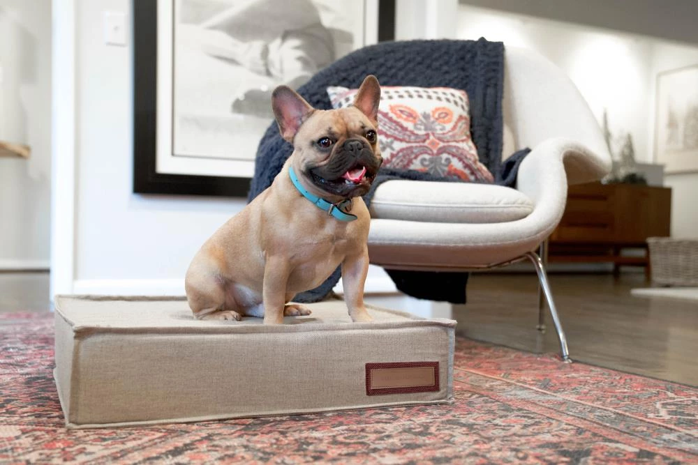 New ๐ฅฐ The Houndry Pet Beds Hazy Herder Sunbrella Acrylic Fabric Rectangular 42-in x 30-in ๐ฆฎ Dog Bed (For Large) ๐ - Image 3