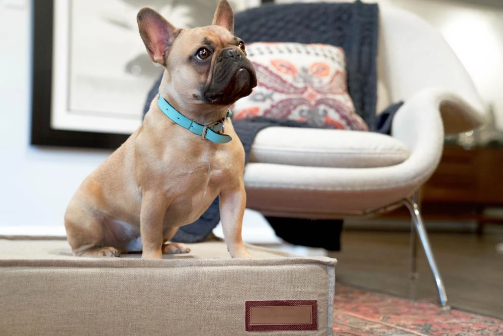 New ๐ฅฐ The Houndry Pet Beds Hazy Herder Sunbrella Acrylic Fabric Rectangular 42-in x 30-in ๐ฆฎ Dog Bed (For Large) ๐ - Image 4