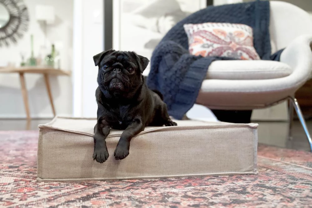 New ๐ฅฐ The Houndry Pet Beds Hazy Herder Sunbrella Acrylic Fabric Rectangular 42-in x 30-in ๐ฆฎ Dog Bed (For Large) ๐ - Image 5