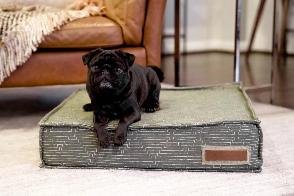 Coupon ๐ฅ The Houndry Pet Beds Mossy Mutt Sunbrella Acrylic Fabric Rectangular 28-in x 28-in ๐ฆฎ Dog Bed (For Large) ๐ - Image 6