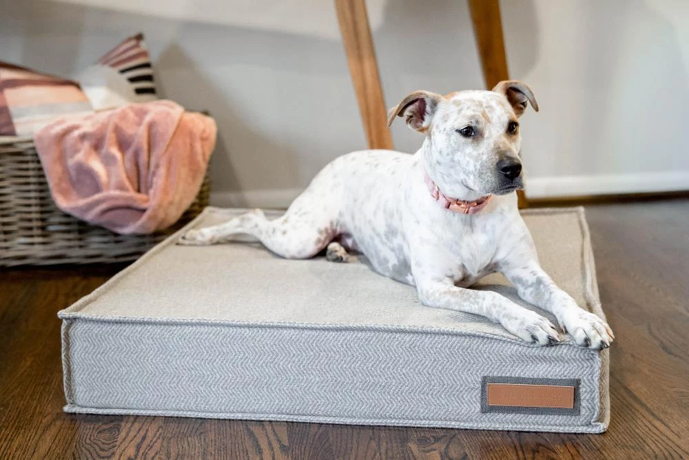 Buy ๐งจ The Houndry Pet Beds Foggy Feline Sunbrella Acrylic Fabric Rectangular 47-in x 36-in ๐ Dog Bed (For Large) โ - Image 3