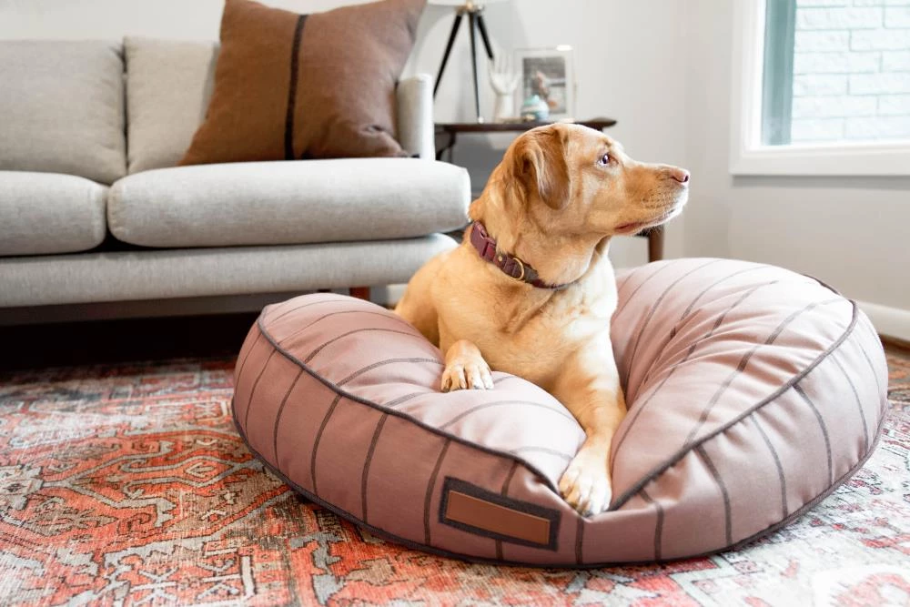 Budget ๐ The Houndry Pet Beds Blushing Basset Sunbrella Acrylic Fabric Round 24-in x 24-in ๐ฆฎ Dog Bed (For Small) โค๏ธ - Image 2