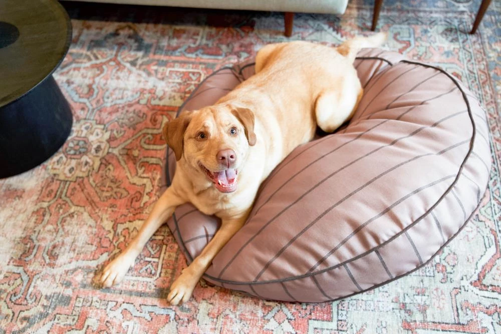 Budget ๐ The Houndry Pet Beds Blushing Basset Sunbrella Acrylic Fabric Round 24-in x 24-in ๐ฆฎ Dog Bed (For Small) โค๏ธ - Image 3