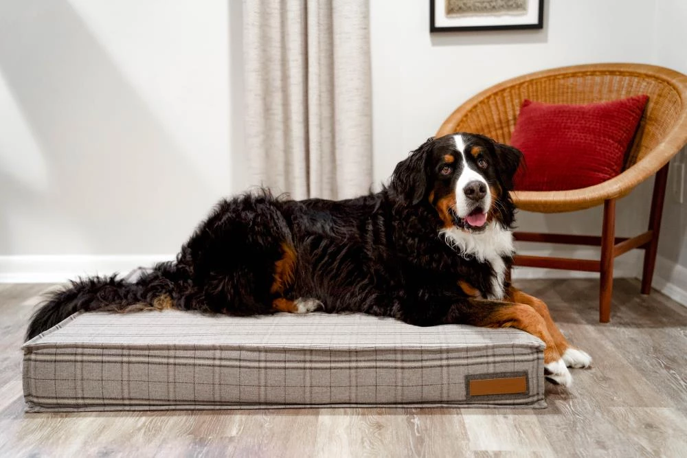 Best deal โจ The Houndry Pet Beds Grey Hound Sunbrella Acrylic Fabric Rectangular 28-in x 28-in ๐ถ Dog Bed (For Medium) โญ - Image 3