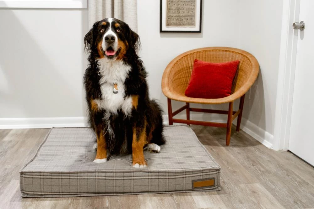 Best deal โจ The Houndry Pet Beds Grey Hound Sunbrella Acrylic Fabric Rectangular 28-in x 28-in ๐ถ Dog Bed (For Medium) โญ - Image 4