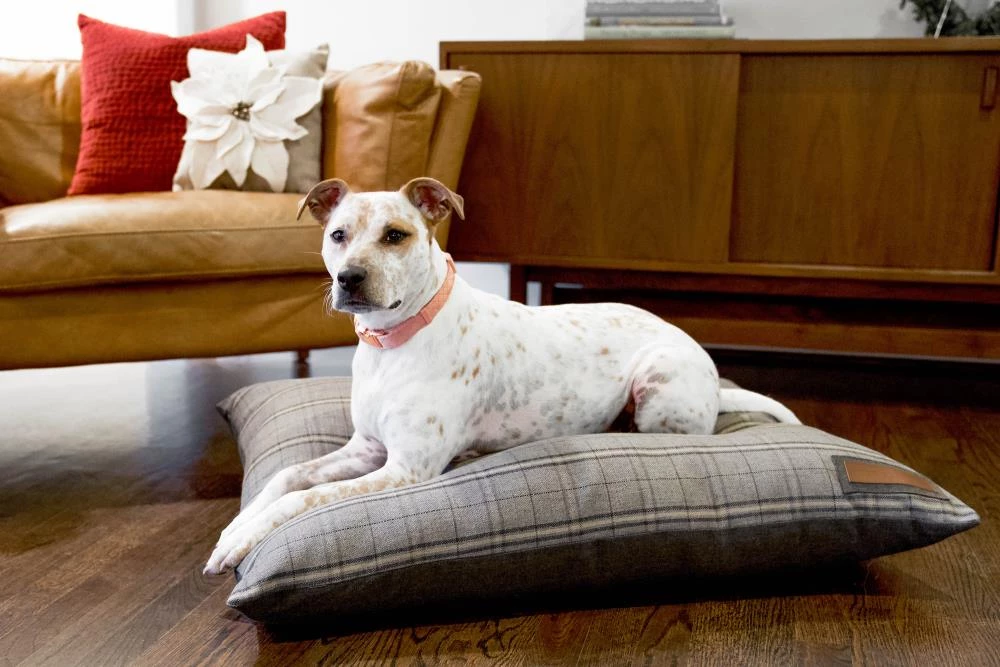 Best deal 🥰 The Houndry Pet Beds Grey Hound Sunbrella Acrylic Fabric Rectangular 38-in x 29-in 🐕 Dog Bed (For Medium) ✔️ - Image 3