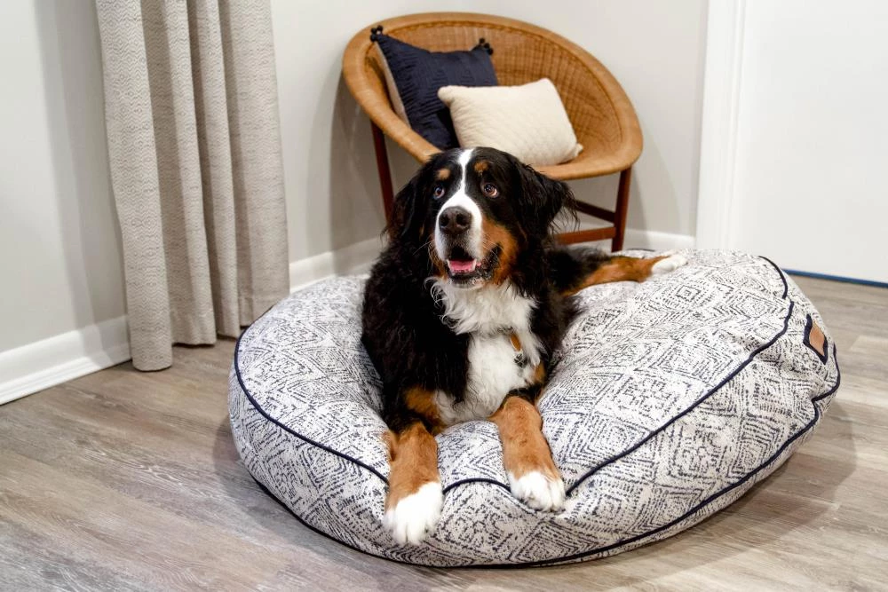 Coupon ⌛ The Houndry Pet Beds Sapphire Spaniel Sunbrella Acrylic Fabric Round 24-in x 24-in 🦮 Dog Bed (For Small) ✔️ - Image 2