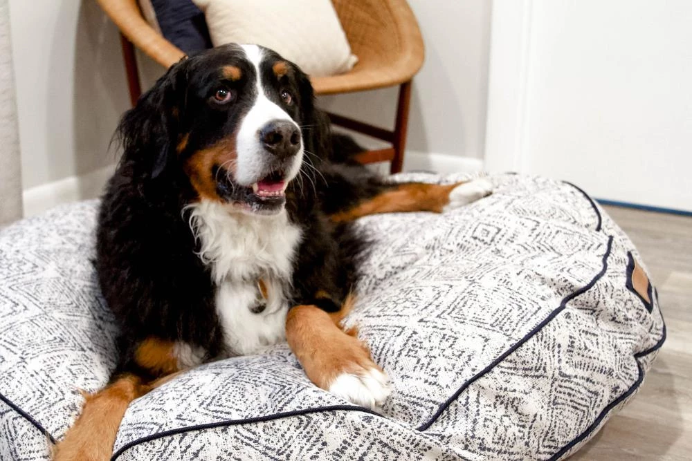 Coupon ⌛ The Houndry Pet Beds Sapphire Spaniel Sunbrella Acrylic Fabric Round 24-in x 24-in 🦮 Dog Bed (For Small) ✔️ - Image 3