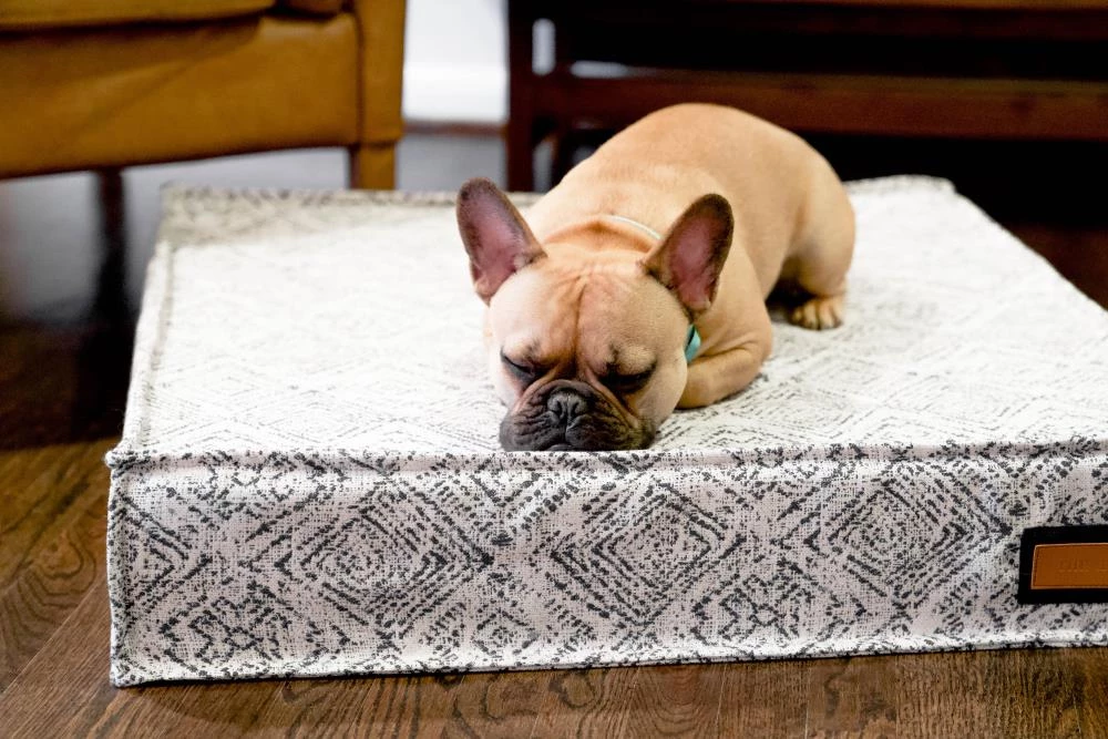 Buy ๐ The Houndry Pet Beds Sapphire Spaniel Sunbrella Acrylic Fabric Rectangular 22.5-in x 22.5-in ๐ถ Dog Bed (For Small) ๐ - Image 6