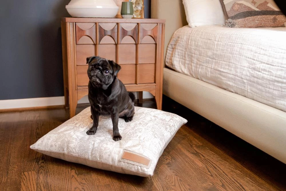 Brand new ๐ The Houndry Pet Beds Country Chase Sunbrella Acrylic Fabric Rectangular 47-in x 37-in ๐ฆฎ Dog Bed (For Large) ๐ - Image 3