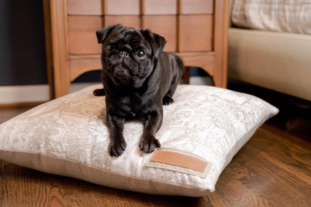 Brand new ๐ The Houndry Pet Beds Country Chase Sunbrella Acrylic Fabric Rectangular 47-in x 37-in ๐ฆฎ Dog Bed (For Large) ๐ - Image 4