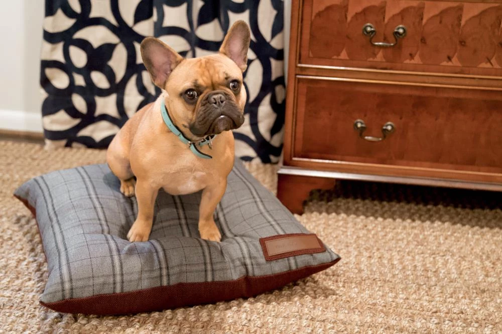 Hot Sale 🤩 The Houndry Pet Beds Russett Rover Sunbrella Acrylic Fabric Rectangular 47-in x 37-in 🦮 Dog Bed (For Large) ✨ - Image 3