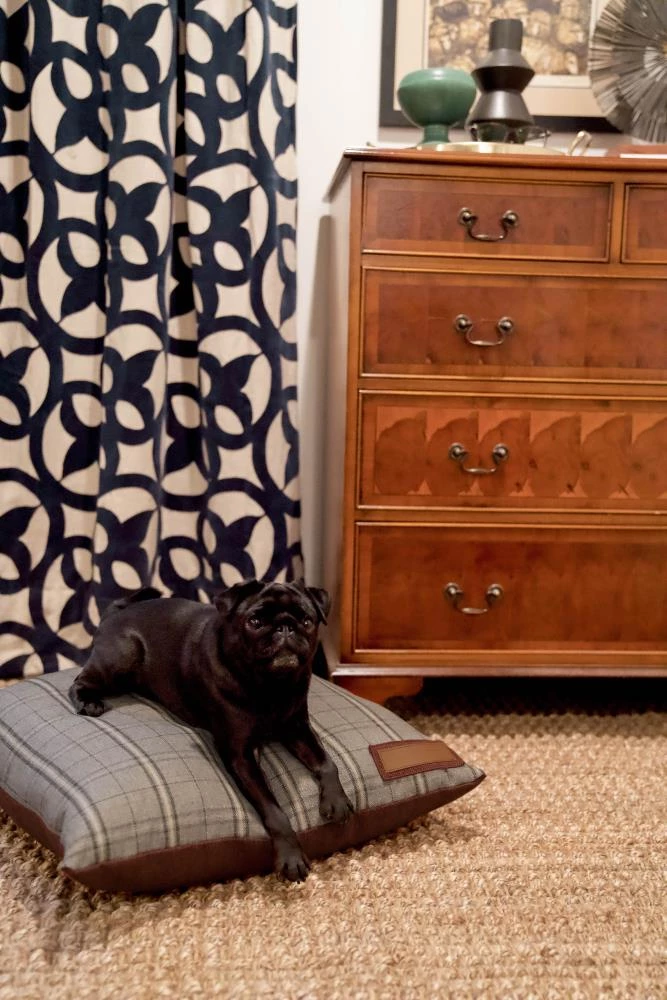 Hot Sale 🤩 The Houndry Pet Beds Russett Rover Sunbrella Acrylic Fabric Rectangular 47-in x 37-in 🦮 Dog Bed (For Large) ✨ - Image 4