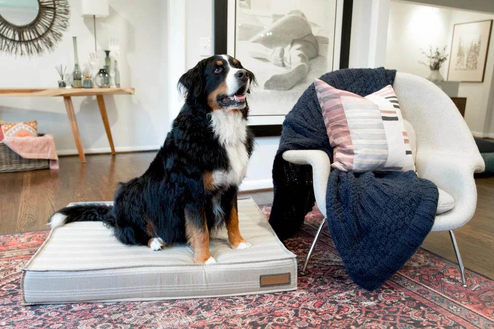 Wholesale ๐ The Houndry Pet Beds Leashed Linen Sunbrella Acrylic Fabric Rectangular 47-in x 36-in ๐ฆฎ Dog Bed (For Large) ๐ - Image 4