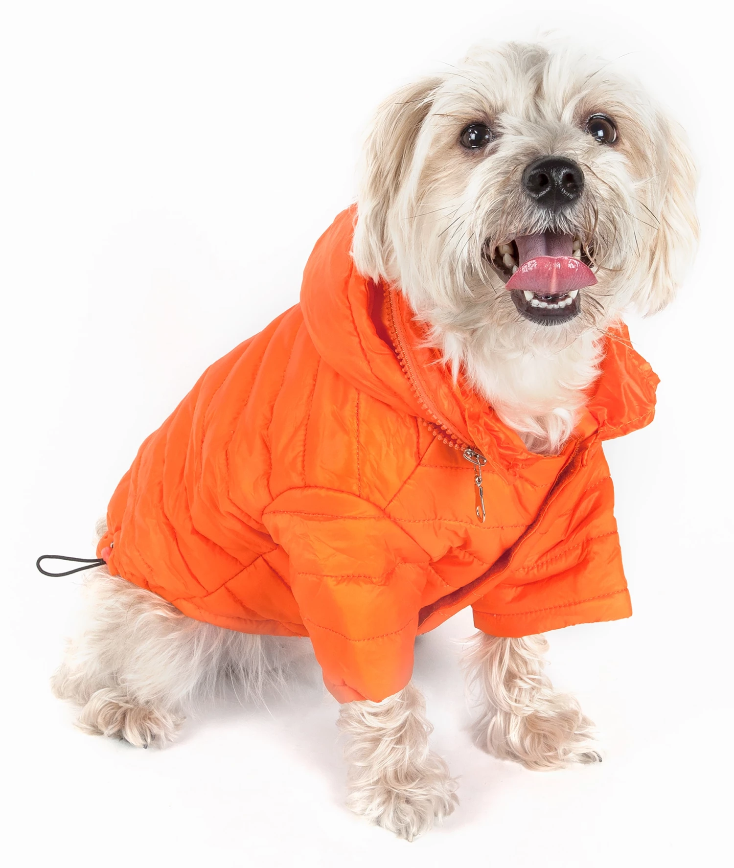 Buy โค๏ธ Pet Life Pet Clothing Lightweight Adjustable 'Sporty Avalanche' Pet ๐งฅ Coat Large (71- 90-lb)Orange ๐ Dog/Cat ๐งฅ Coat ๐ฏ - Image 2