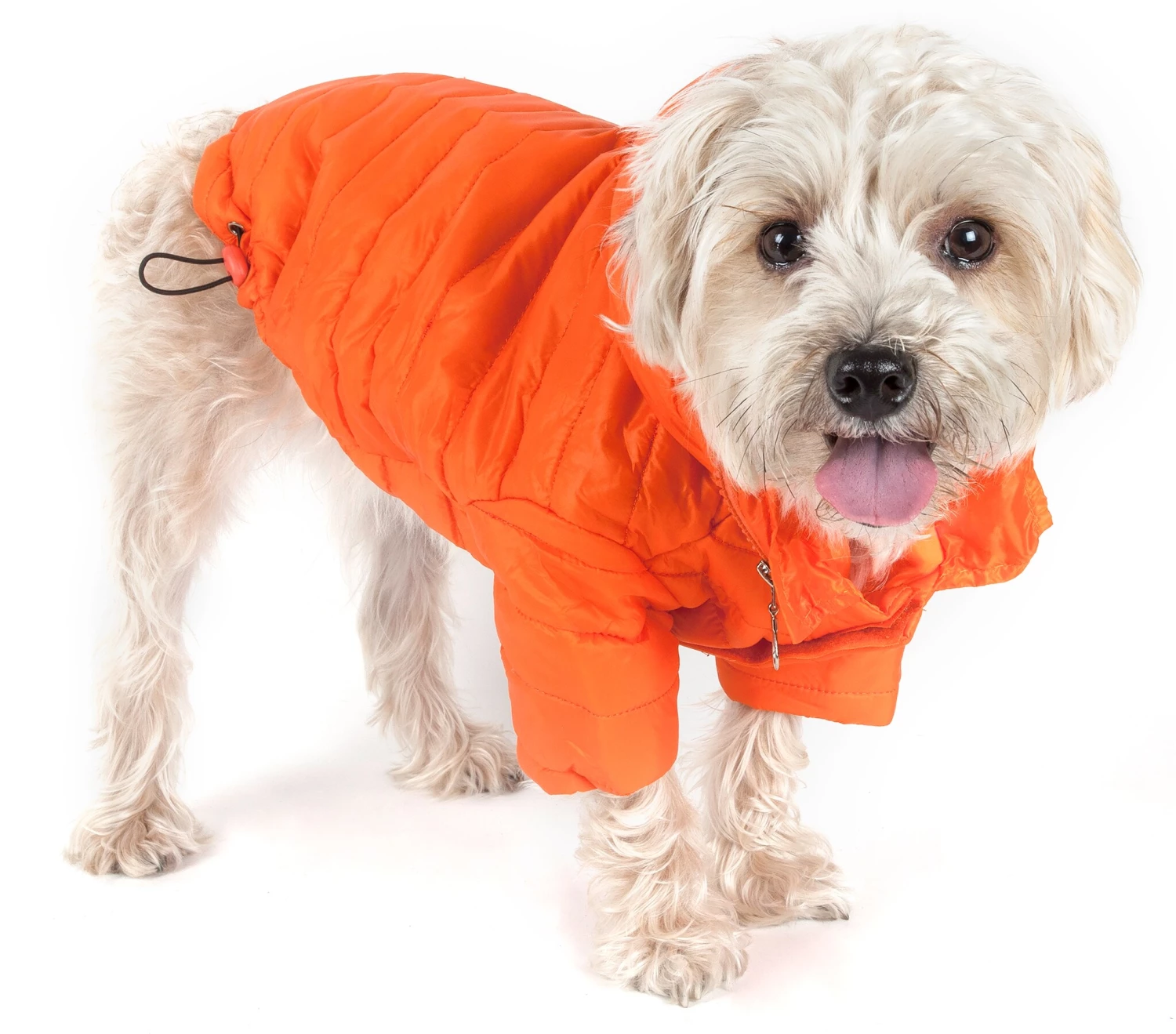 Buy โค๏ธ Pet Life Pet Clothing Lightweight Adjustable 'Sporty Avalanche' Pet ๐งฅ Coat Large (71- 90-lb)Orange ๐ Dog/Cat ๐งฅ Coat ๐ฏ - Image 4