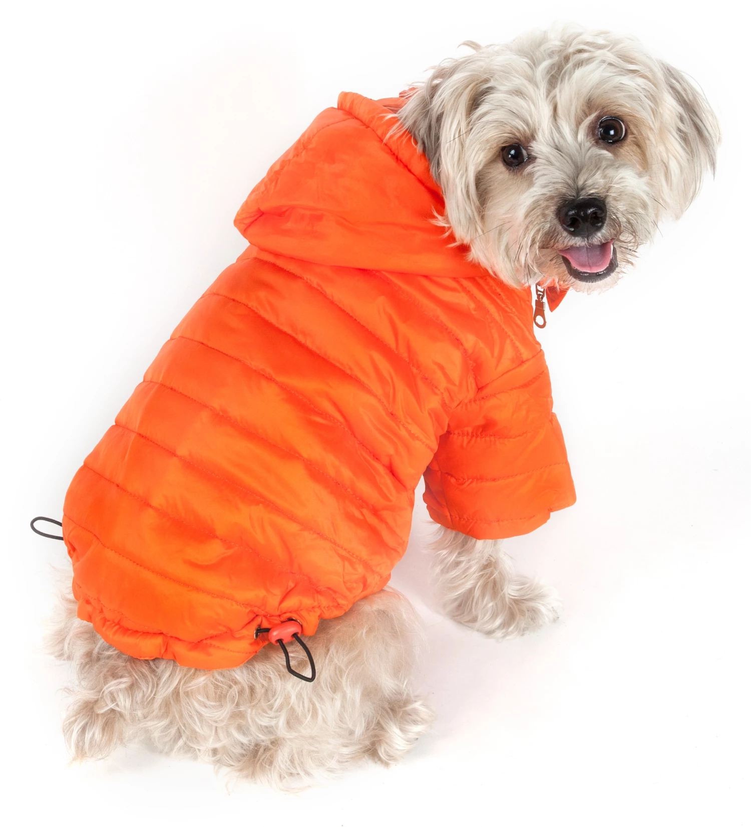 Buy โค๏ธ Pet Life Pet Clothing Lightweight Adjustable 'Sporty Avalanche' Pet ๐งฅ Coat Large (71- 90-lb)Orange ๐ Dog/Cat ๐งฅ Coat ๐ฏ
