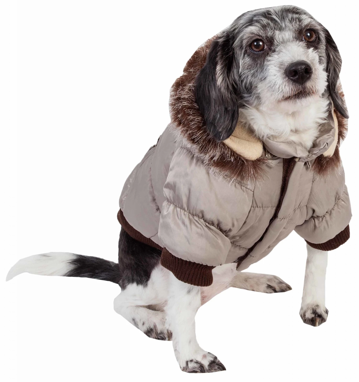 Coupon ⭐ Pet Life Pet Clothing Metallic Fashion Pet Parka 🧥 Coat X-large (91- 110-lb)Metallic Grey 🐕 Dog/Cat 🧥 Coat ❤️ - Image 2
