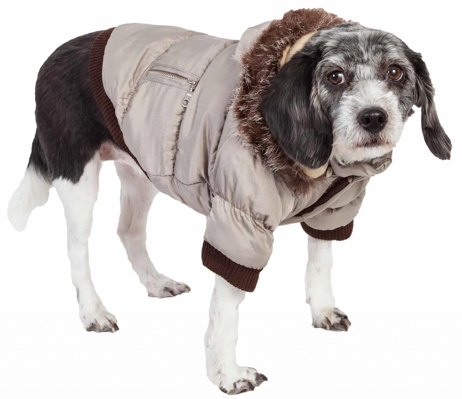 Coupon ⭐ Pet Life Pet Clothing Metallic Fashion Pet Parka 🧥 Coat X-large (91- 110-lb)Metallic Grey 🐕 Dog/Cat 🧥 Coat ❤️