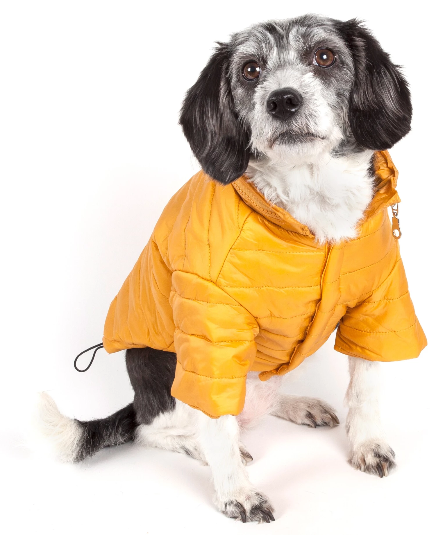 Best deal ⭐ Pet Life Pet Clothing Lightweight Adjustable 'Sporty Avalanche' Pet 🧥 Coat Medium (26- 40-lb) Mustard Yellow 🐶 Dog/Cat 🧥 Coat 🧨 - Image 2