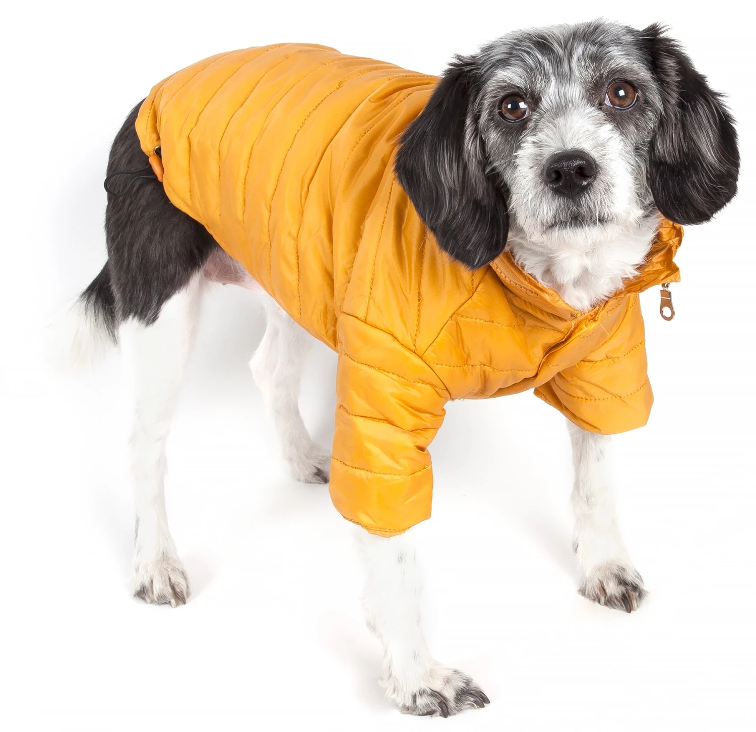 Best deal ⭐ Pet Life Pet Clothing Lightweight Adjustable 'Sporty Avalanche' Pet 🧥 Coat Medium (26- 40-lb) Mustard Yellow 🐶 Dog/Cat 🧥 Coat 🧨