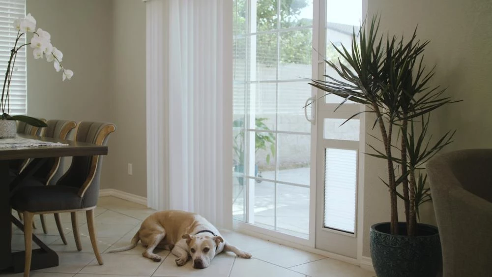 Coupon ๐ High Tech Pet Pet Doors Armor Flex Pet Door Small (25-lb or Less) Off White Aluminum Sliding Pet Door ๐ - Image 2