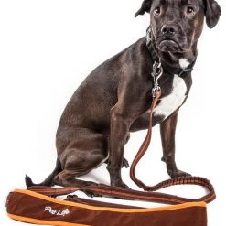 Hot Sale ❤️ Pet Life Pet Leashes Brown 4-ft Leash 😀