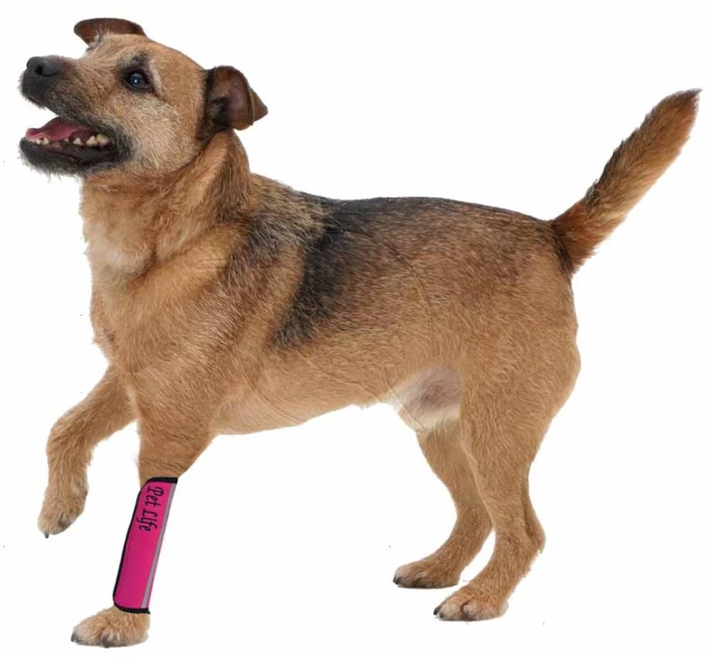 Coupon ๐ Pet Life Pet Accessories Small (25-lb or Less) Hot Pink ๐ฆฎ Dog/Cat Joint Protectors ๐ - Image 2