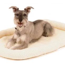 Best deal 🎉 Carlson Pet Products Pet Beds Tan Polyester Rectangular 36-in x 23-in 🐕 Dog Bed (For Medium) 😉