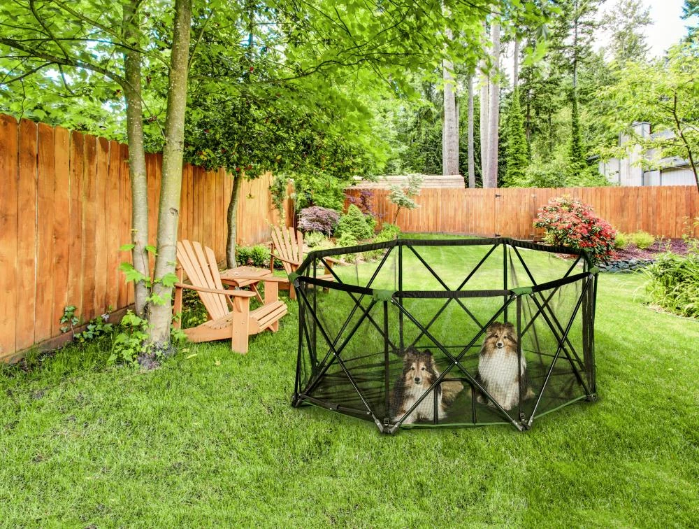Promo ๐ Carlson Pet Products Crates & Kennels 5-ft L x 2-ft W x 2-ft H ๐ถ Dog Preassembled Kit ๐