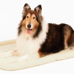 Wholesale ✔️ Carlson Pet Products Pet Beds Tan Polyester Rectangular 14-in x 9-in 🐶 Dog Bed (For Extra Large) 😀