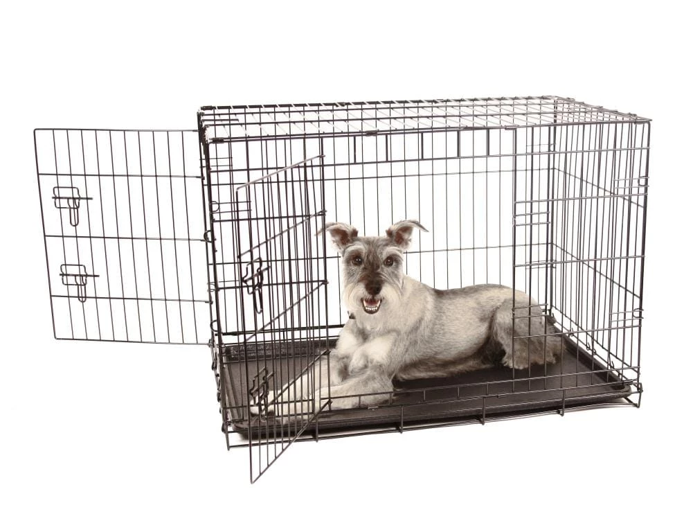 Brand new ๐ Carlson Pet Products Pet Kennel & Crate Accessories ๐ฆฎ Dog Kennel Cover ๐งจ