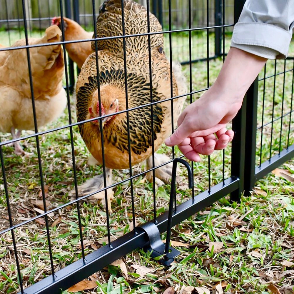 Buy ๐ Pet Sentinel Crates & Kennels 8-ft L x 4-ft W x 6-ft H Box Kit โ๏ธ - Image 8