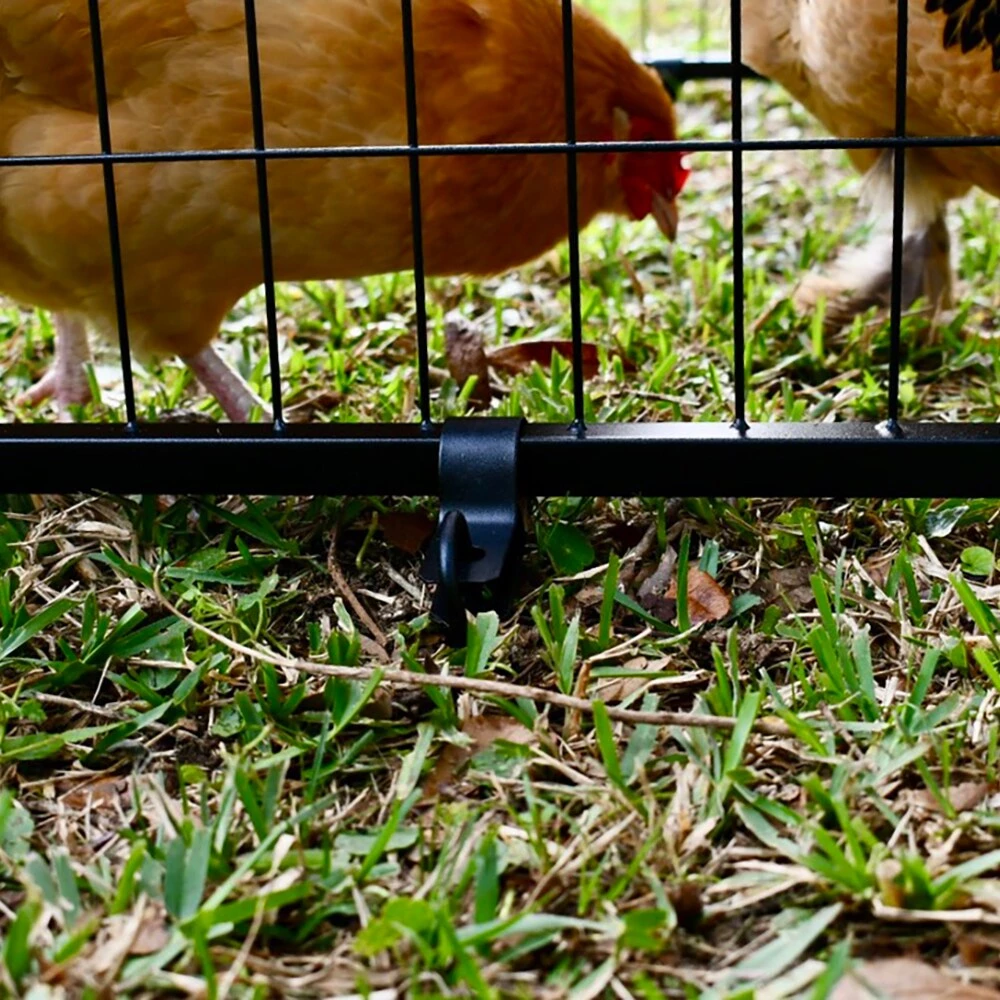 Buy ๐ Pet Sentinel Crates & Kennels 8-ft L x 4-ft W x 6-ft H Box Kit โ๏ธ - Image 11