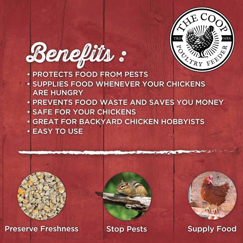 Budget 💯 Thing Livestock Feeders Large Rustic Chicken Feeder 😉 - Image 6