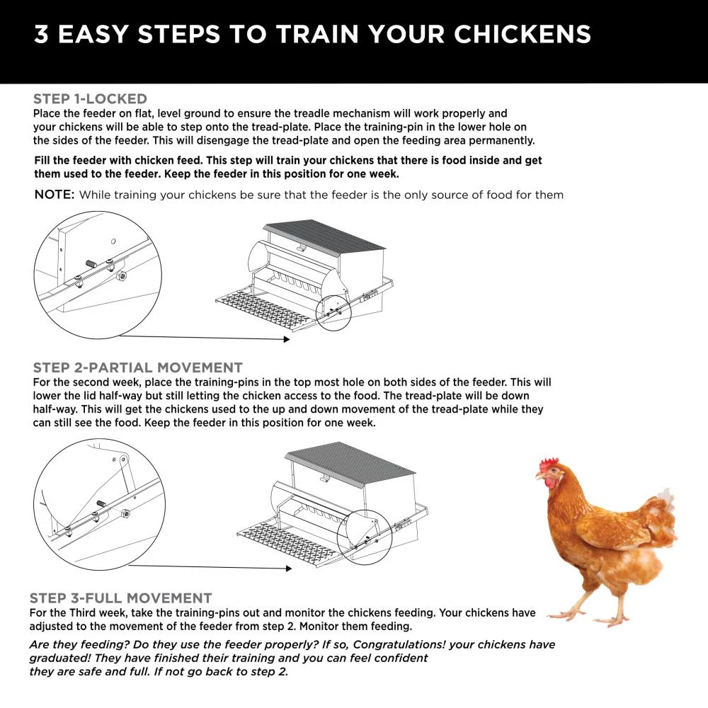 Budget 💯 Thing Livestock Feeders Large Rustic Chicken Feeder 😉 - Image 5