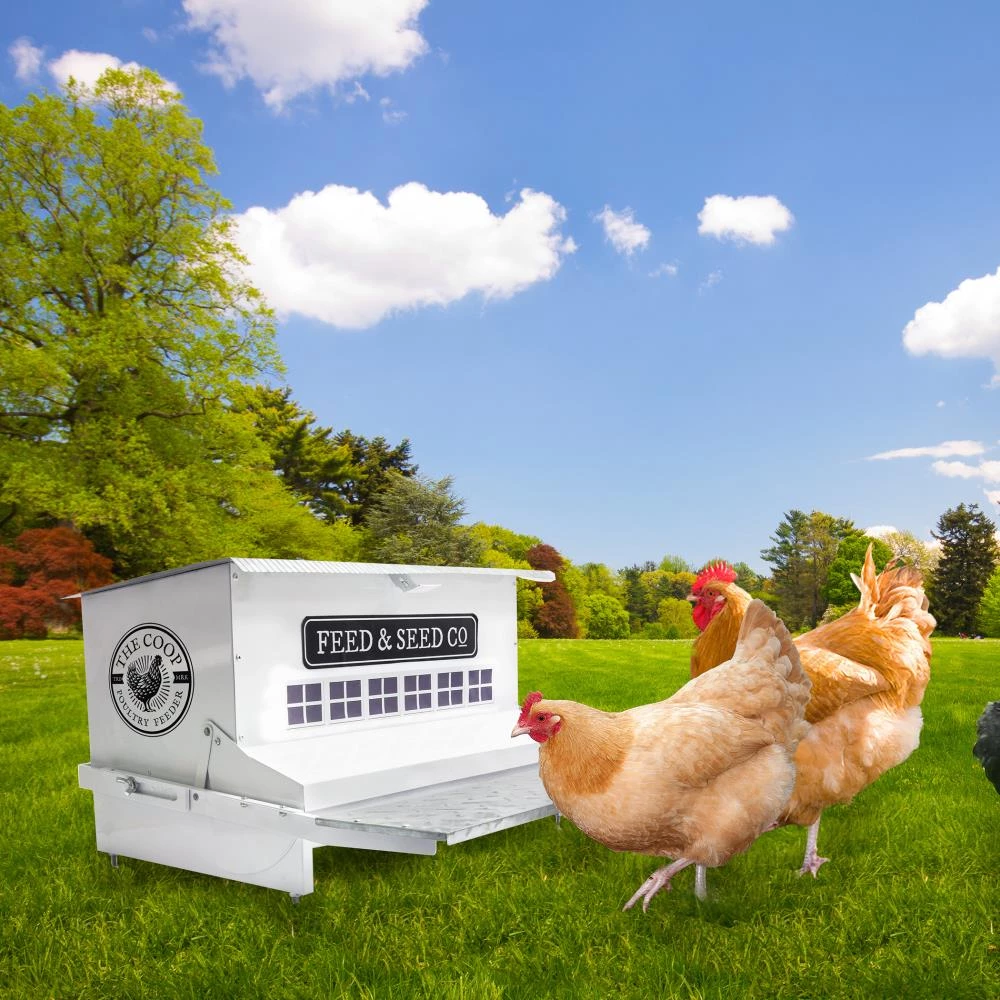 Budget 💯 Thing Livestock Feeders Large Rustic Chicken Feeder 😉 - Image 2