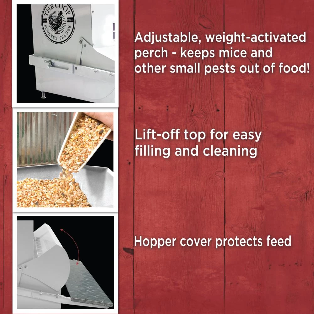 Budget 💯 Thing Livestock Feeders Large Rustic Chicken Feeder 😉 - Image 3